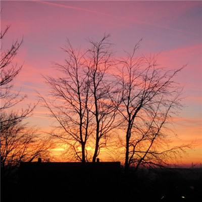 助赢软件手机app下载